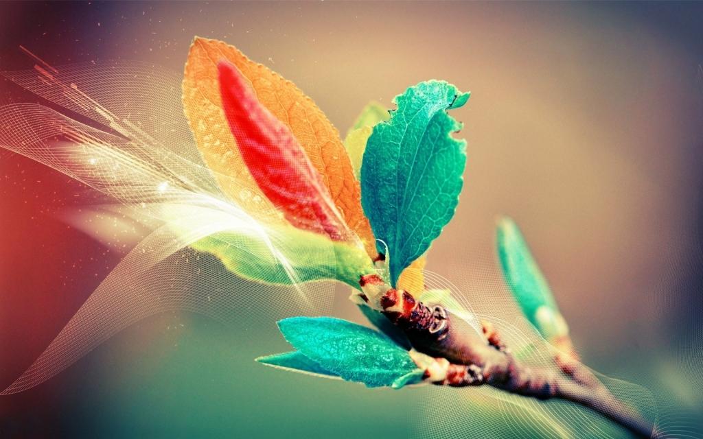 الفن